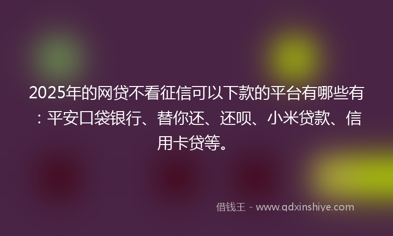 2025年的网贷不看征信可以下款的平台有哪些有：平安口袋银行、替你还、还呗、小米贷款、信用卡贷等。