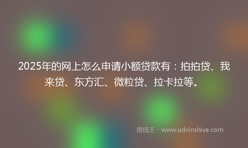 2025年的网上怎么申请小额贷款有：拍拍贷、我来贷、东方汇、微粒贷、拉卡拉等。
