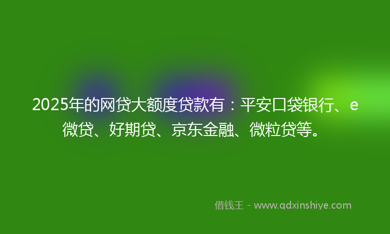 2025年的网贷大额度贷款有：平安口袋银行、e微贷、好期贷、京东金融、微粒贷等。