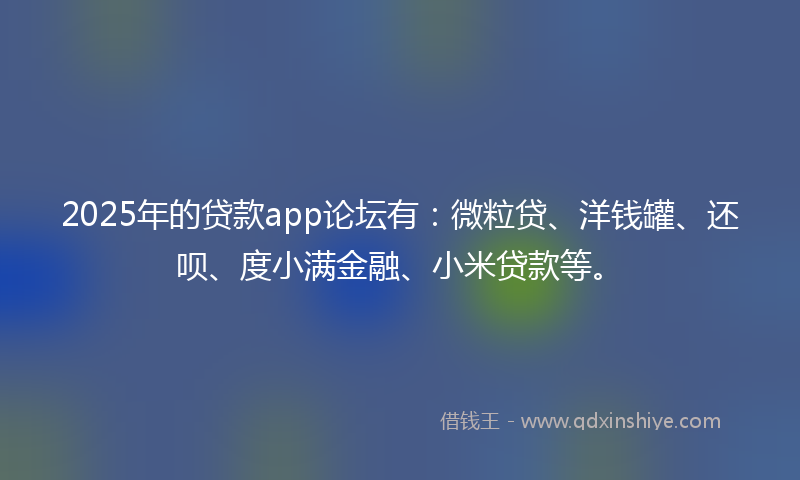2025年的贷款app论坛有：微粒贷、洋钱罐、还呗、度小满金融、小米贷款等。