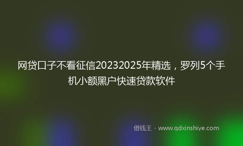 网贷口子不看征信20232025年精选，罗列5个手机小额黑户快速贷款软件
