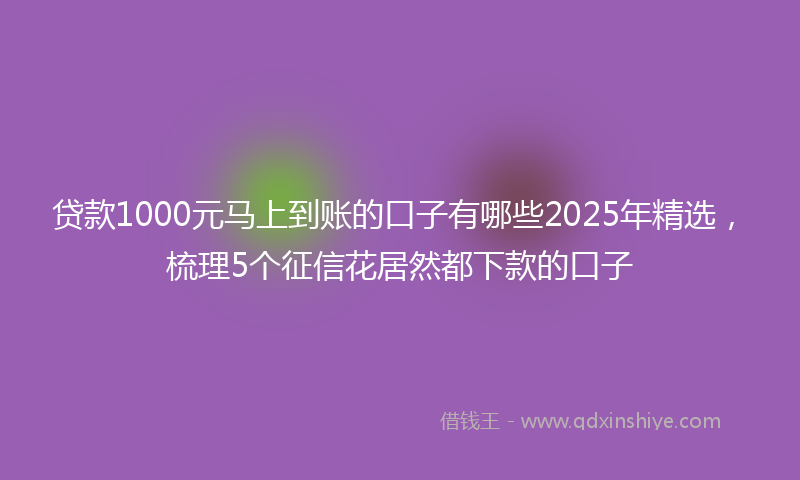贷款1000元马上到账的口子有哪些2025年精选，梳理5个征信花居然都下款的口子