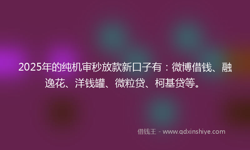 2025年的纯机审秒放款新口子有：微博借钱、融逸花、洋钱罐、微粒贷、柯基贷等。