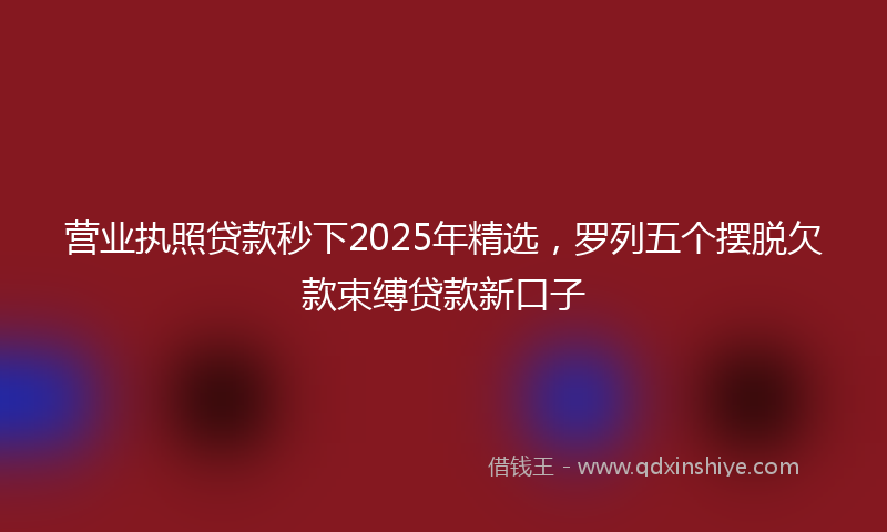 营业执照贷款秒下2025年精选，罗列五个摆脱欠款束缚贷款新口子