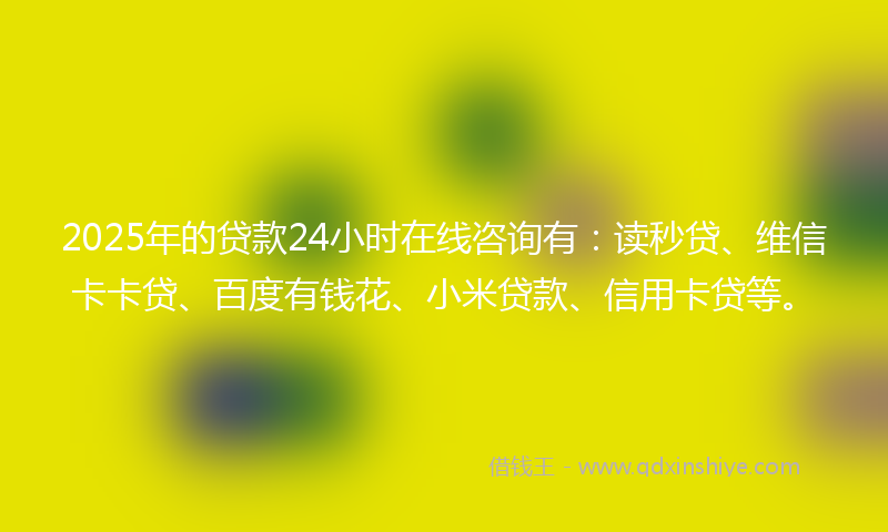 2025年的贷款24小时在线咨询有：读秒贷、维信卡卡贷、百度有钱花、小米贷款、信用卡贷等。