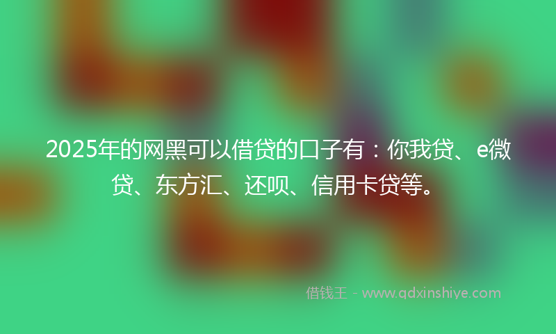 2025年的网黑可以借贷的口子有：你我贷、e微贷、东方汇、还呗、信用卡贷等。