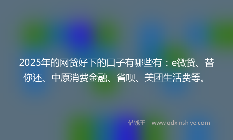 2025年的网贷好下的口子有哪些有：e微贷、替你还、中原消费金融、省呗、美团生活费等。