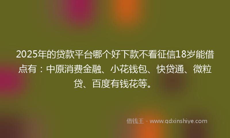 2025年的贷款平台哪个好下款不看征信18岁能借点有：中原消费金融、小花钱包、快贷通、微粒贷、百度有钱花等。