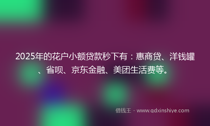 2025年的花户小额贷款秒下有：惠商贷、洋钱罐、省呗、京东金融、美团生活费等。