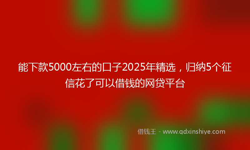 能下款5000左右的口子2025年精选，归纳5个征信花了可以借钱的网贷平台