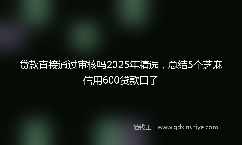 贷款直接通过审核吗2025年精选，总结5个芝麻信用600贷款口子