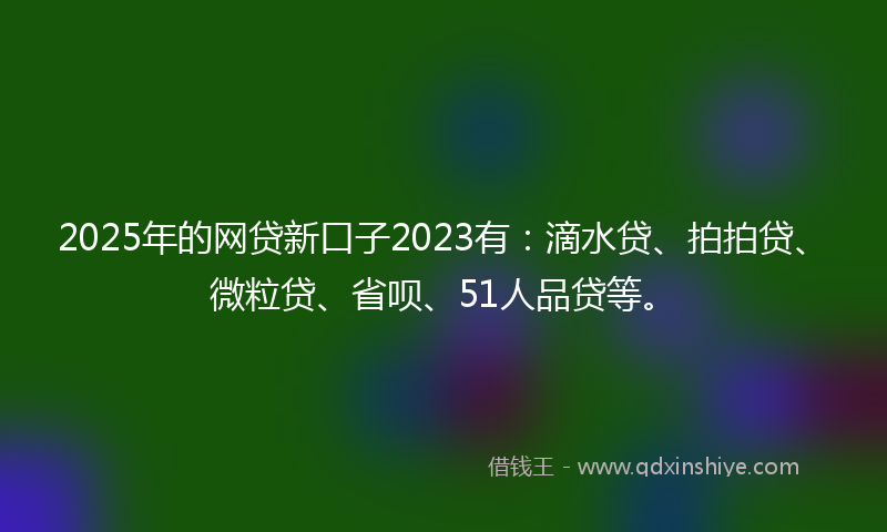 2025年的网贷新口子2023有：滴水贷、拍拍贷、微粒贷、省呗、51人品贷等。