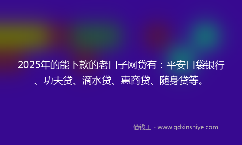 2025年的能下款的老口子网贷有：平安口袋银行、功夫贷、滴水贷、惠商贷、随身贷等。