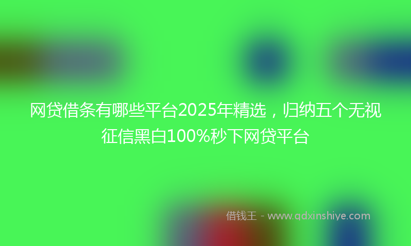 网贷借条有哪些平台2025年精选，归纳五个无视征信黑白100%秒下网贷平台