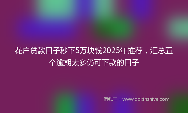 花户贷款口子秒下5万块钱2025年推荐，汇总五个逾期太多仍可下款的口子