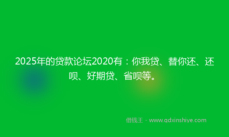 2025年的贷款论坛2020有：你我贷、替你还、还呗、好期贷、省呗等。