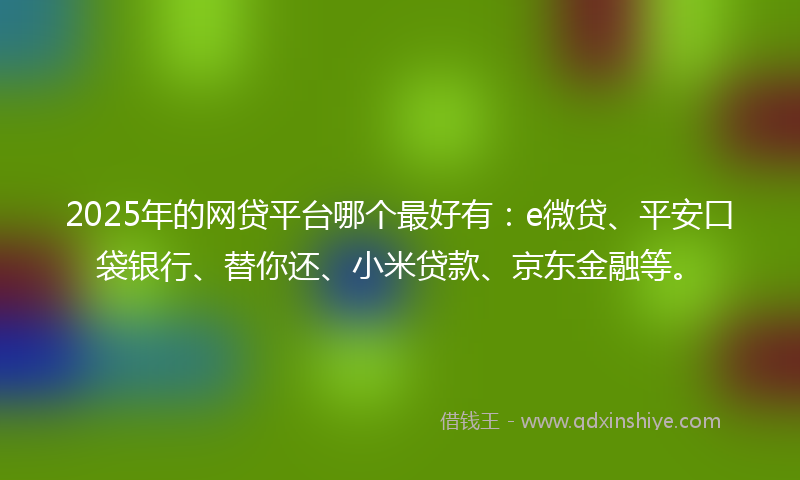 2025年的网贷平台哪个最好有：e微贷、平安口袋银行、替你还、小米贷款、京东金融等。