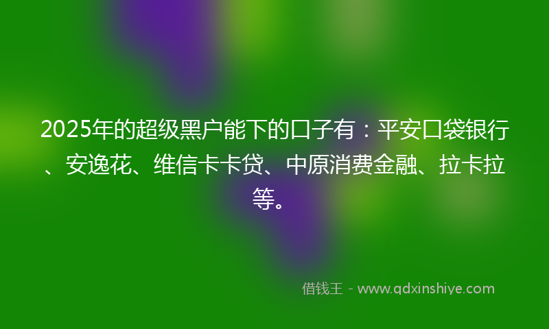 2025年的超级黑户能下的口子有：平安口袋银行、安逸花、维信卡卡贷、中原消费金融、拉卡拉等。