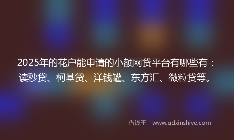 2025年的花户能申请的小额网贷平台有哪些有:读秒贷、柯基贷、洋钱罐、东方汇、微粒贷等。
