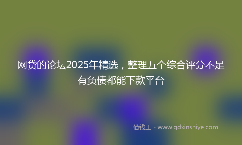 网贷的论坛2025年精选，整理五个综合评分不足有负债都能下款平台