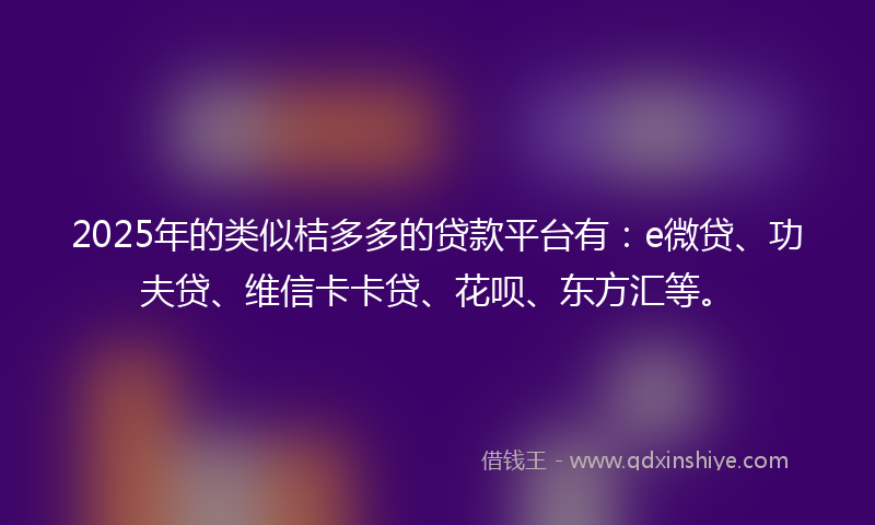 2025年的类似桔多多的贷款平台有：e微贷、功夫贷、维信卡卡贷、花呗、东方汇等。