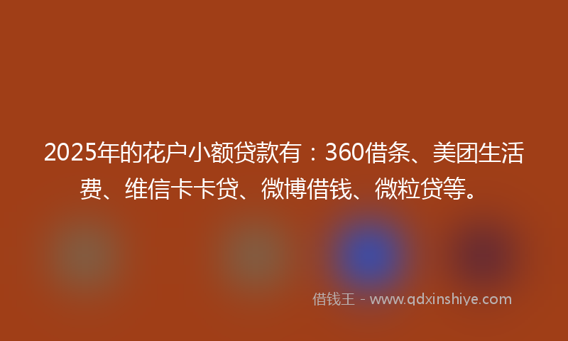 2025年的花户小额贷款有：360借条、美团生活费、维信卡卡贷、微博借钱、微粒贷等。