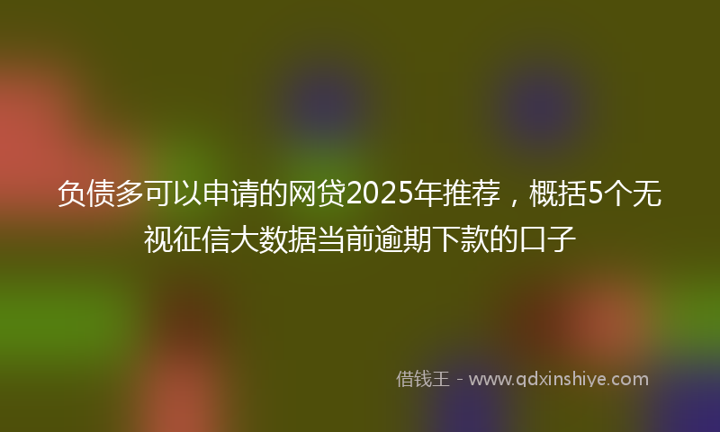负债多可以申请的网贷2025年推荐，概括5个无视征信大数据当前逾期下款的口子