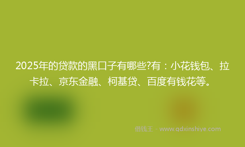 2025年的贷款的黑口子有哪些?有：小花钱包、拉卡拉、京东金融、柯基贷、百度有钱花等。