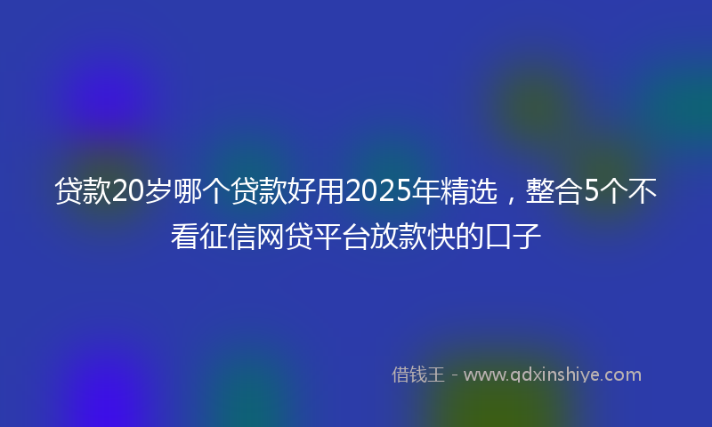 贷款20岁哪个贷款好用2025年精选，整合5个不看征信网贷平台放款快的口子