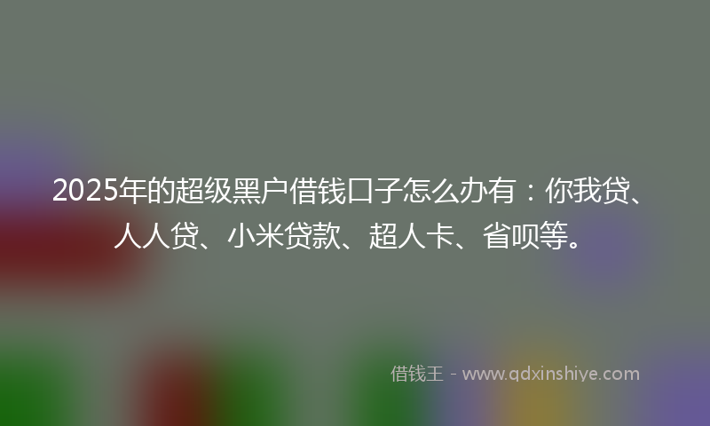 2025年的超级黑户借钱口子怎么办有：你我贷、人人贷、小米贷款、超人卡、省呗等。