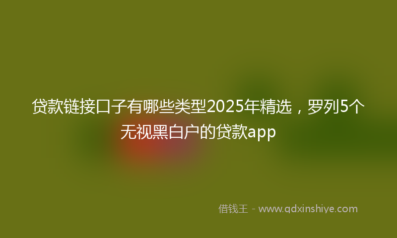 贷款链接口子有哪些类型2025年精选，罗列5个无视黑白户的贷款app