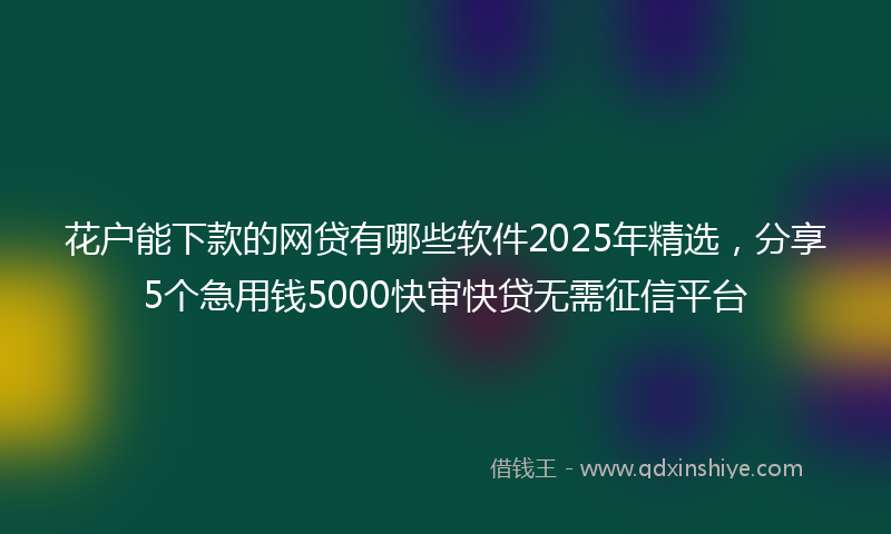 花户能下款的网贷有哪些软件2025年精选，分享5个急用钱5000快审快贷无需征信平台