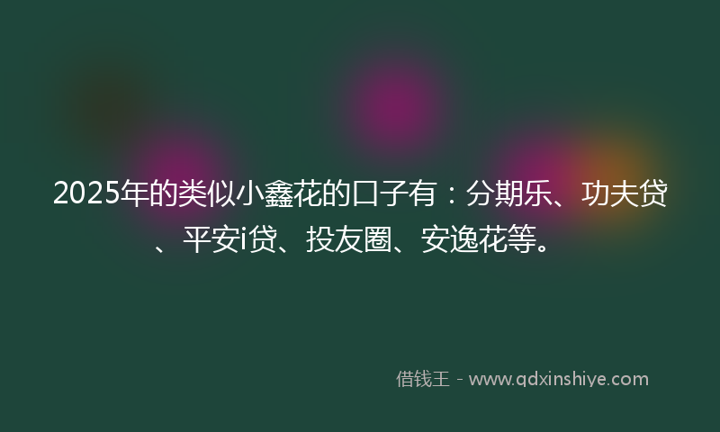 2025年的类似小鑫花的口子有：分期乐、功夫贷、平安i贷、投友圈、安逸花等。
