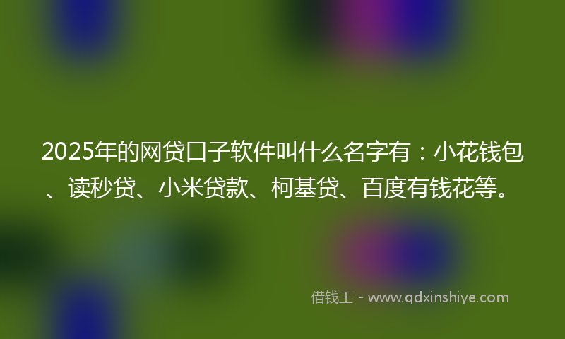 2025年的网贷口子软件叫什么名字有：小花钱包、读秒贷、小米贷款、柯基贷、百度有钱花等。