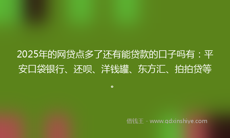 2025年的网贷点多了还有能贷款的口子吗有：平安口袋银行、还呗、洋钱罐、东方汇、拍拍贷等。