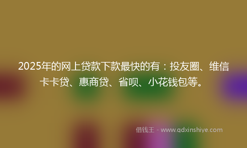 2025年的网上贷款下款最快的有：投友圈、维信卡卡贷、惠商贷、省呗、小花钱包等。