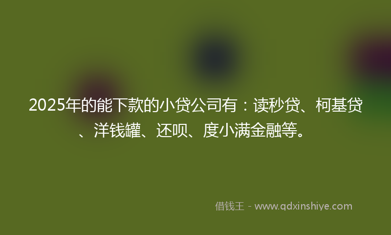 2025年的能下款的小贷公司有：读秒贷、柯基贷、洋钱罐、还呗、度小满金融等。