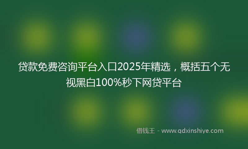 贷款免费咨询平台入口2025年精选，概括五个无视黑白100%秒下网贷平台