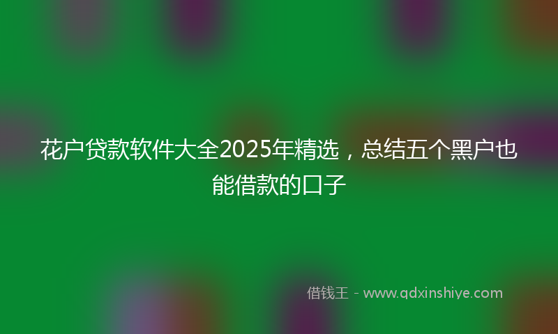 花户贷款软件大全2025年精选，总结五个黑户也能借款的口子