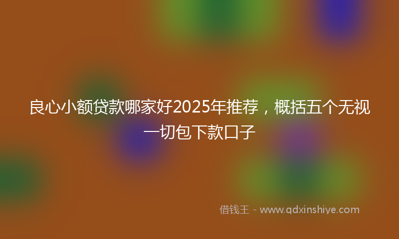 良心小额贷款哪家好2025年推荐，概括五个无视一切包下款口子