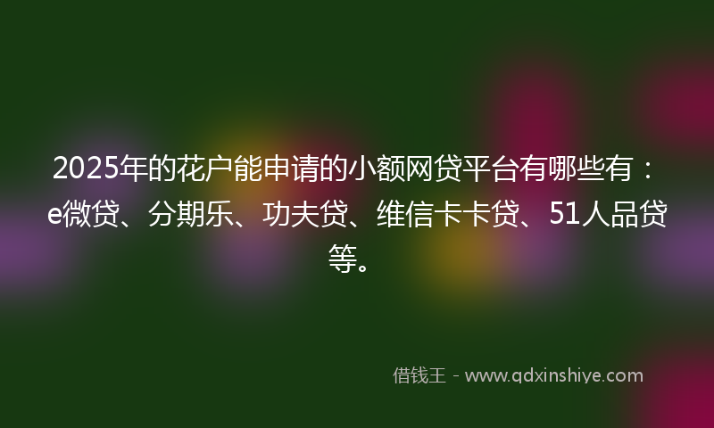 2025年的花户能申请的小额网贷平台有哪些有：e微贷、分期乐、功夫贷、维信卡卡贷、51人品贷等。