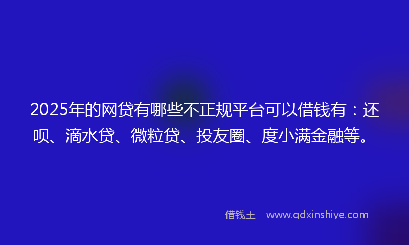 2025年的网贷有哪些不正规平台可以借钱有：还呗、滴水贷、微粒贷、投友圈、度小满金融等。