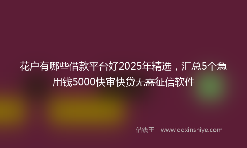 花户有哪些借款平台好2025年精选，汇总5个急用钱5000快审快贷无需征信软件