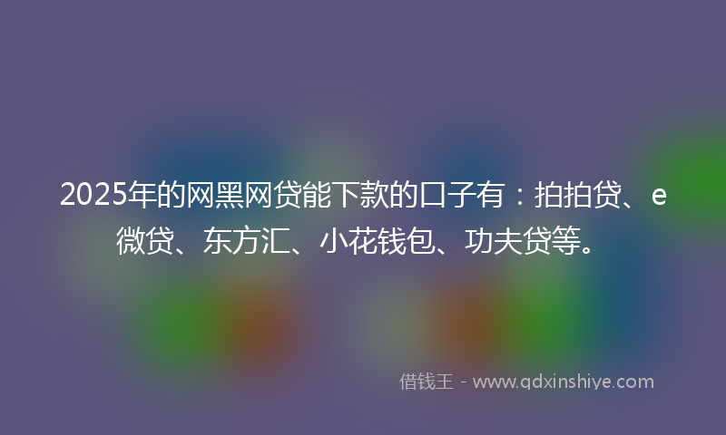 2025年的网黑网贷能下款的口子有：拍拍贷、e微贷、东方汇、小花钱包、功夫贷等。