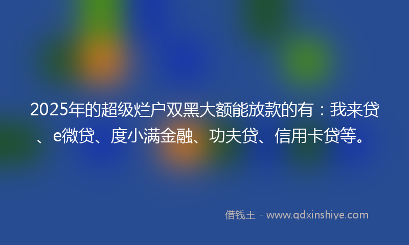 2025年的超级烂户双黑大额能放款的有：我来贷、e微贷、度小满金融、功夫贷、信用卡贷等。