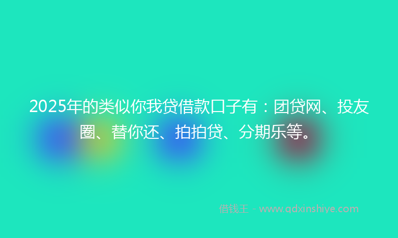 2025年的类似你我贷借款口子有：团贷网、投友圈、替你还、拍拍贷、分期乐等。