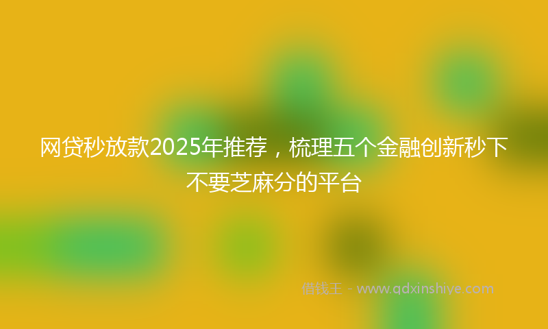 网贷秒放款2025年推荐，梳理五个金融创新秒下不要芝麻分的平台