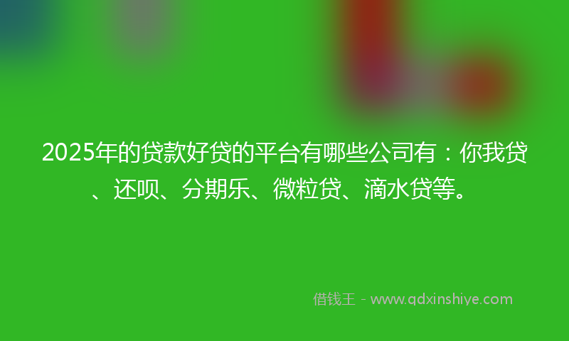 2025年的贷款好贷的平台有哪些公司有：你我贷、还呗、分期乐、微粒贷、滴水贷等。