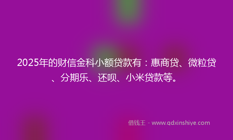 2025年的财信金科小额贷款有：惠商贷、微粒贷、分期乐、还呗、小米贷款等。