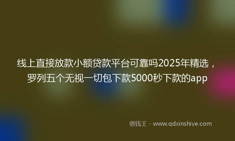 线上直接放款小额贷款平台可靠吗2025年精选，罗列五个无视一切包下款5000秒下款的app